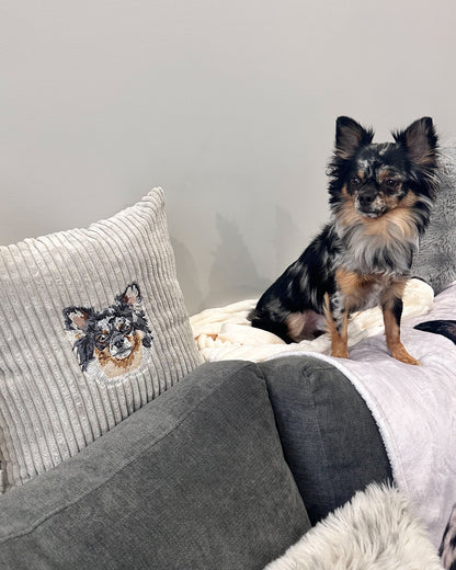 Embroidered Pillow