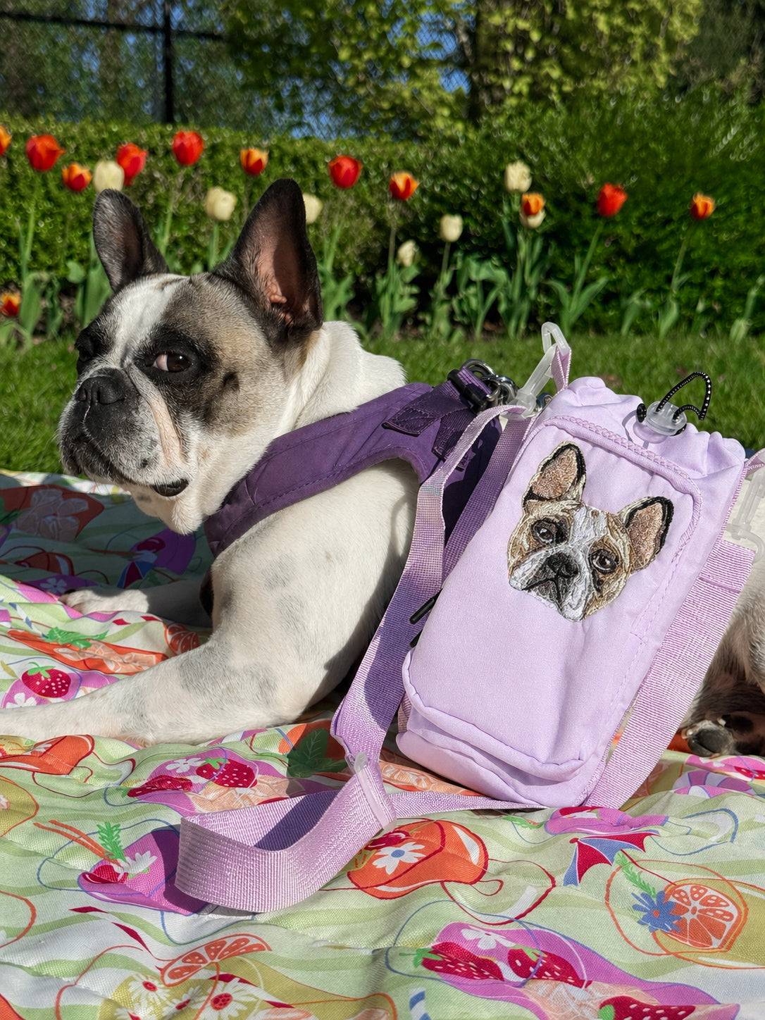 Embroidered PupCup Pouch