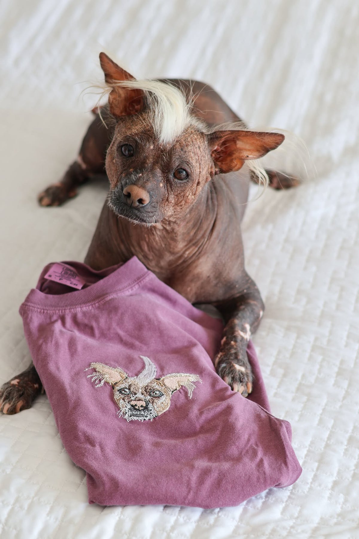 Embroidered Cotton T-Shirt