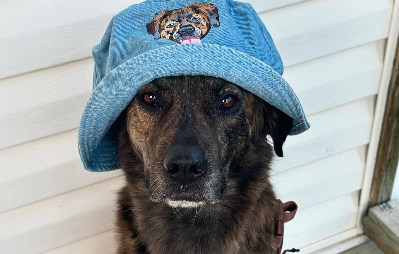 Embroidered Bucket Hat