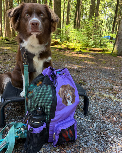 Embroidered Outdoor Backpack