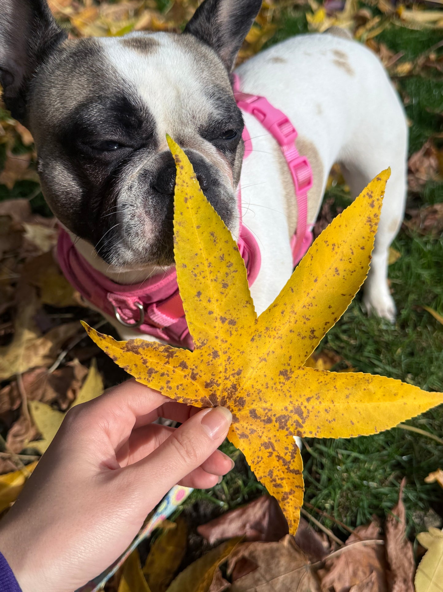 Embroidered Tree Ornament