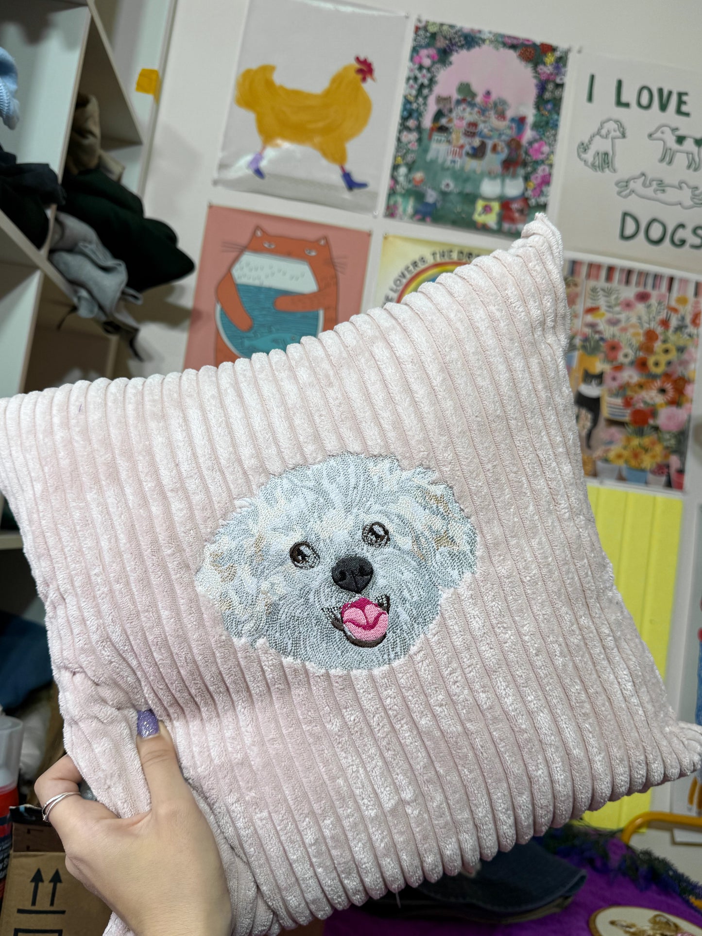 Embroidered Pillow