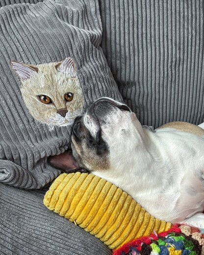 Embroidered Pillow