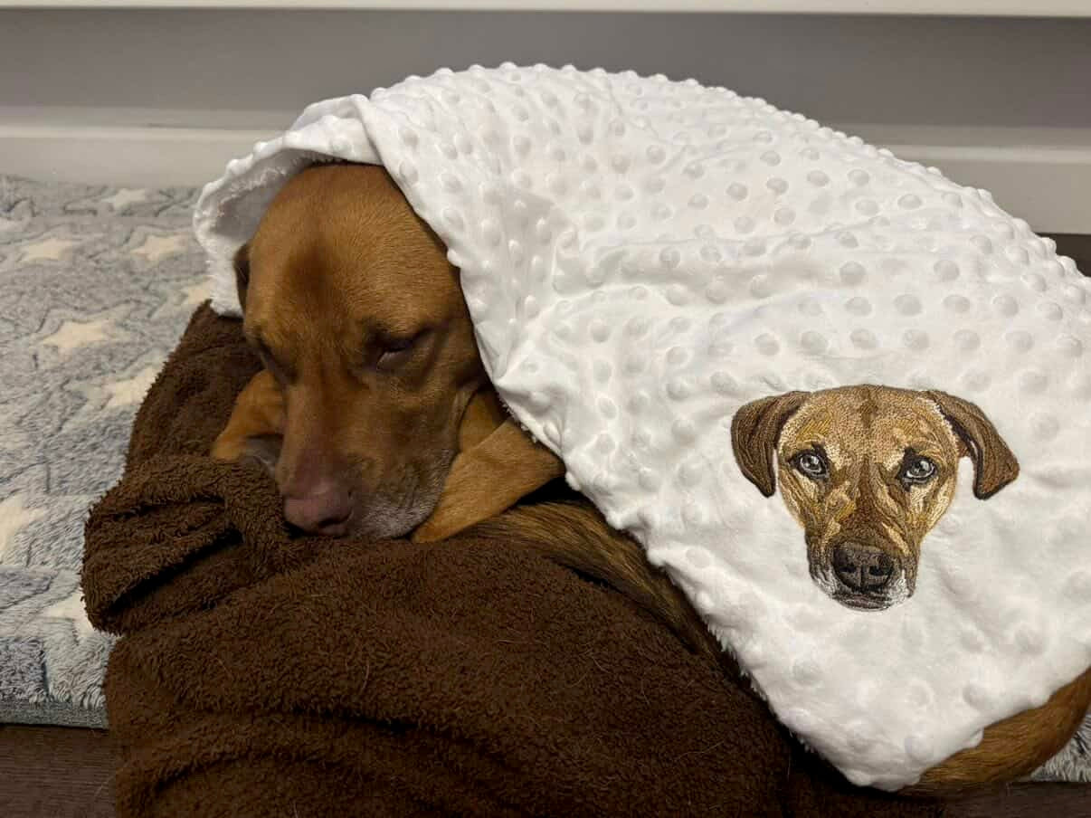 Embroidered Blanket