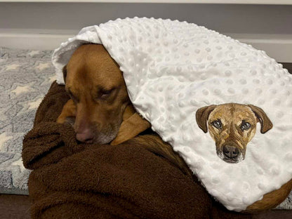 Embroidered Blanket