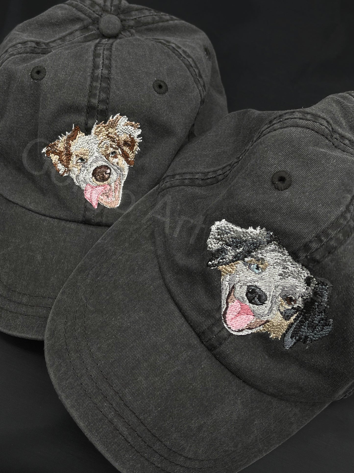 Embroidered pet cap